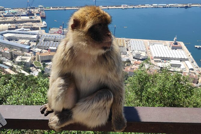 Private Tour: Day through Gibraltar and Morocco, Tangier from Seville - Cape Spartel and the edge of the Atlantic