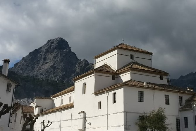 Private Tour Ronda and White Villages from Seville - The vehicle concern you should not brush aside