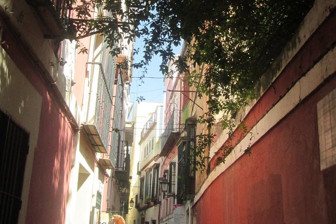 Private tour Royal Palace+Cathedral+old Jewish neighbourhood - Why this private Seville tour works