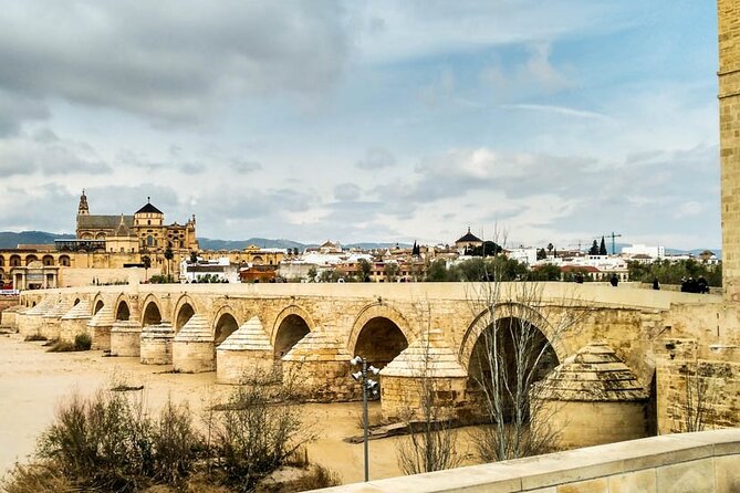 Private tour to Cordoba from Seville (several options) - Key points to know before booking