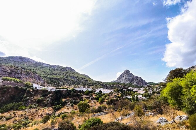 Private tour to Ronda from Seville (several options) - Choosing between more Ronda and the white villages