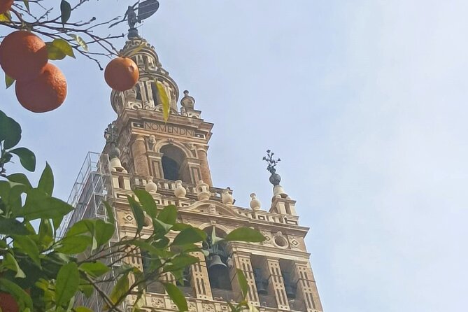 Private Tour with Local Guide to know the Seville Essential - Seville Cathedral and the surviving minaret