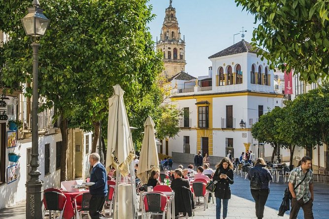 Private Transfer Seville to Granada with a Tour of Cordoba/Mosque - What the private format really gives you