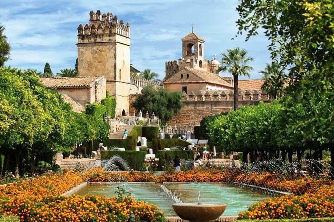 Private Transfer Seville to Granada with a Tour of Cordoba/Mosque - The morning pickup and the road toward Cordoba
