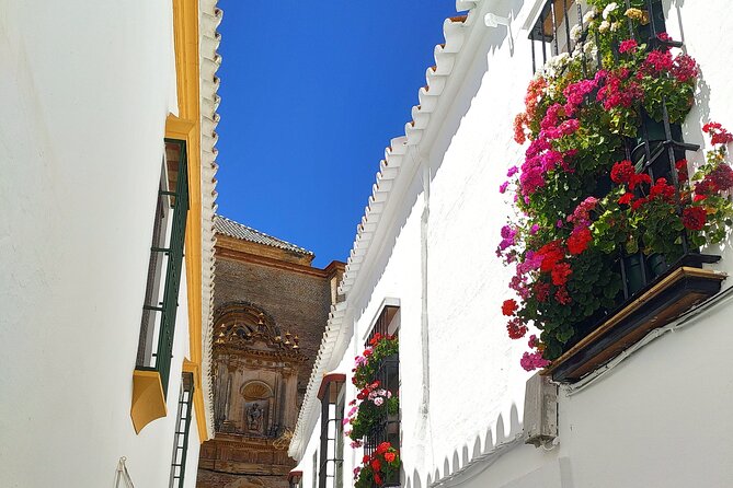 Private trip to Carmona from Seville: 5000 years of history - Lunch around Plaza San Fernando