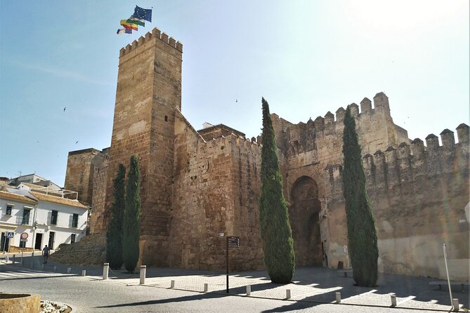 Private trip to Carmona from Seville: 5000 years of history - The Upper Fortress viewpoint and Parador