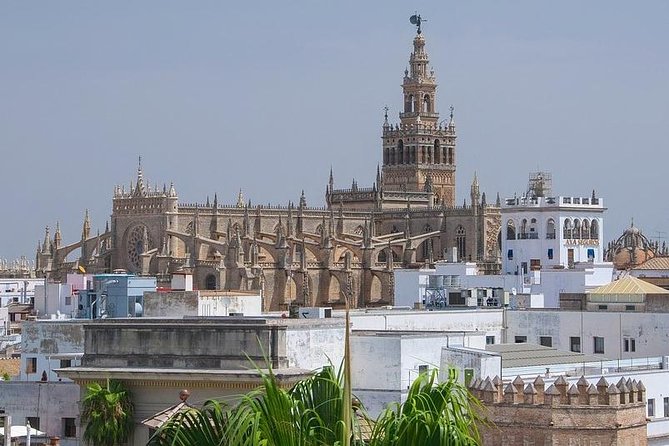 Private visit Cathedral and Royal Alcazares of Seville - The Giralda and its 32 ramps