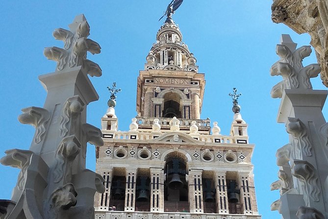 Private visit Cathedral and Royal Alcazares of Seville - Should you book this Seville tour?
