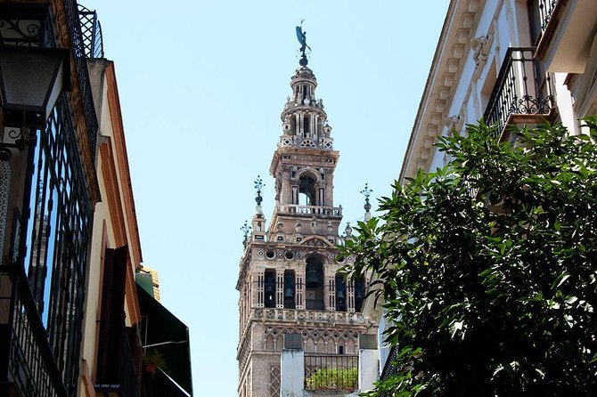 Private visit to the Alcazar and the Cathedral of Seville - Seven hectares of Alcázar gardens