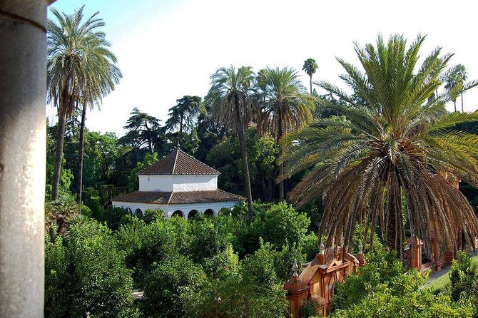 Private visit to the Alcazar and the Cathedral of Seville - Ricardo Carmona’s guiding style