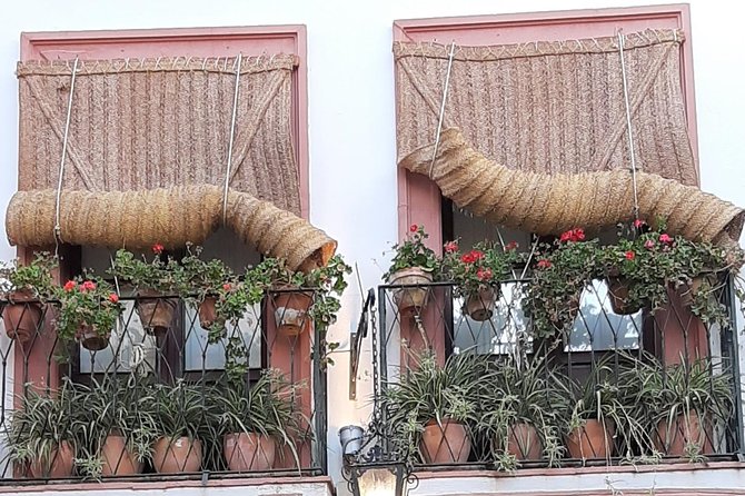 Private visit to the Jewish Quarter of Seville (Sta. Cruz and San Bartolomé Neighborhoods) - My booking verdict