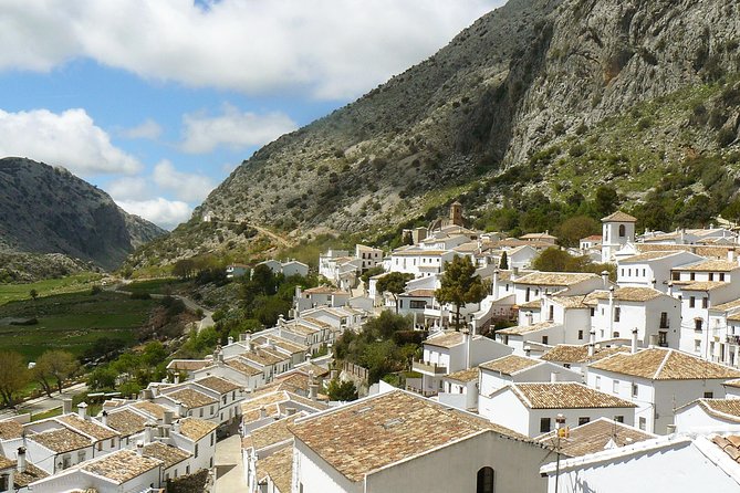 Private White Villages & Ronda Day Tour from Seville - What the private format really changes