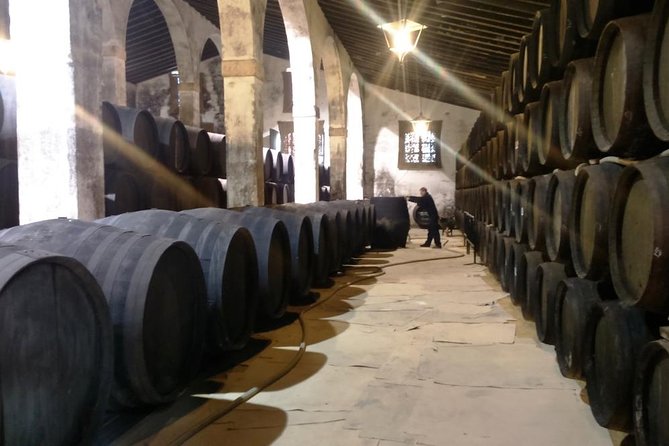 Private wine tour to Jerez de la Frontera - The drive from Seville with Roger