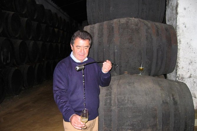 Private wine tour to Jerez de la Frontera - The grand winery and its cathedral-style architecture