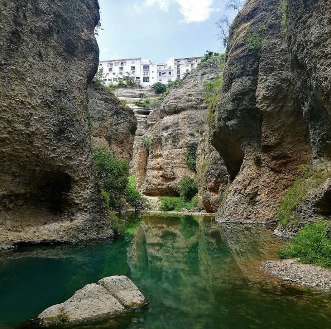 Pueblos Blancos & Ronda: Private Full-Day Tour from Seville - Crossing cork forests toward Ronda