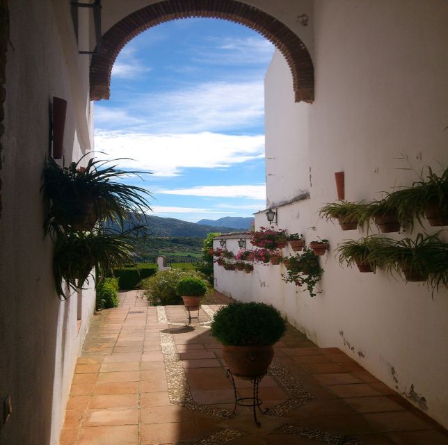 Pueblos Blancos & Ronda: Private Full-Day Tour from Seville - What the $620 private price buys you