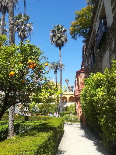 Real Alcázar of Seville Skip-the-Line Private Tour - What the small group changes