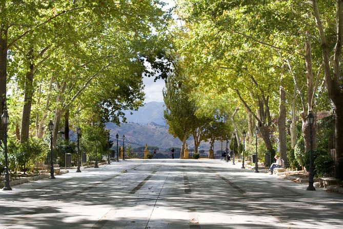 Ronda and White Villages from Seville - Ronda’s bullring and the two-monument choice