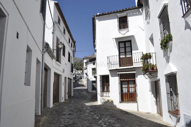 Ronda and White Villages Guided Day Tour from Seville - Who will enjoy this day most
