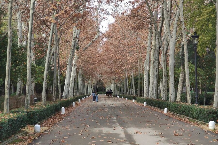 Secrets of Maria Luisa Park and Plaza de Espana - Who should book this tour