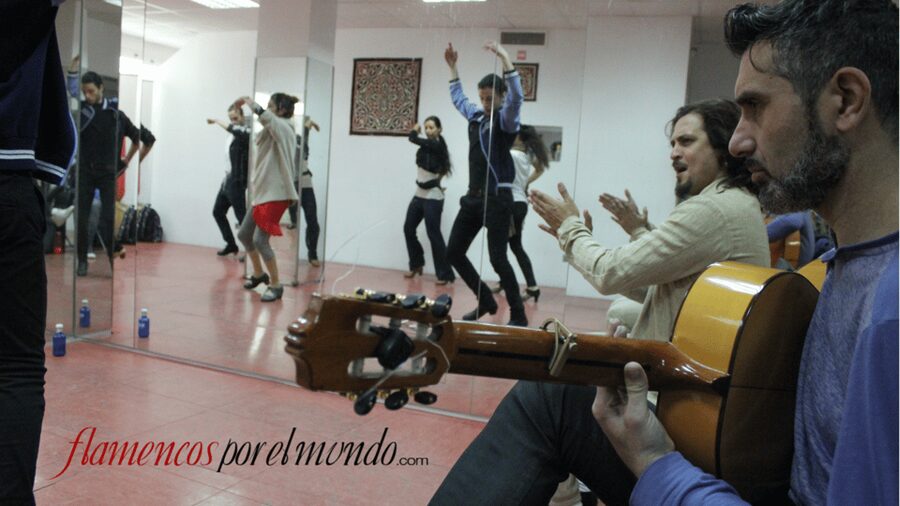 Sevilla : Flamenco Lessons - Choose dance, singing, or guitar