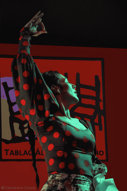 Sevilla: Flamenco Show at Tablao Álvarez Quintero - Entering an 18th-century house in Seville