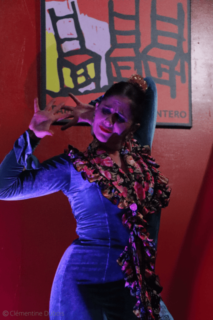 Sevilla: Flamenco Show at Tablao Álvarez Quintero - Who will enjoy Tablao Álvarez Quintero most?