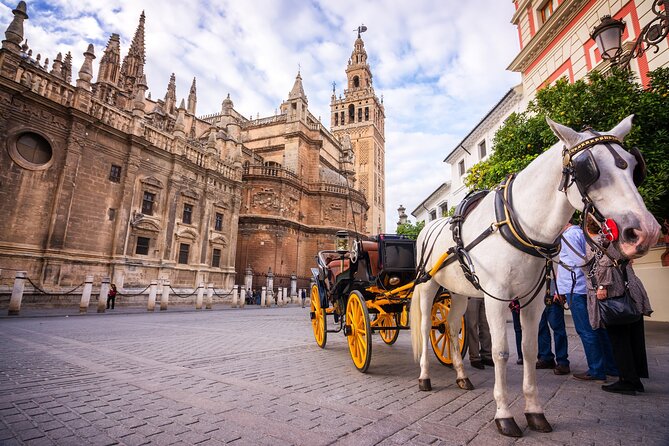 Sevilla: Guided tour to Cathedral and Giralda - Who will enjoy this tour most?