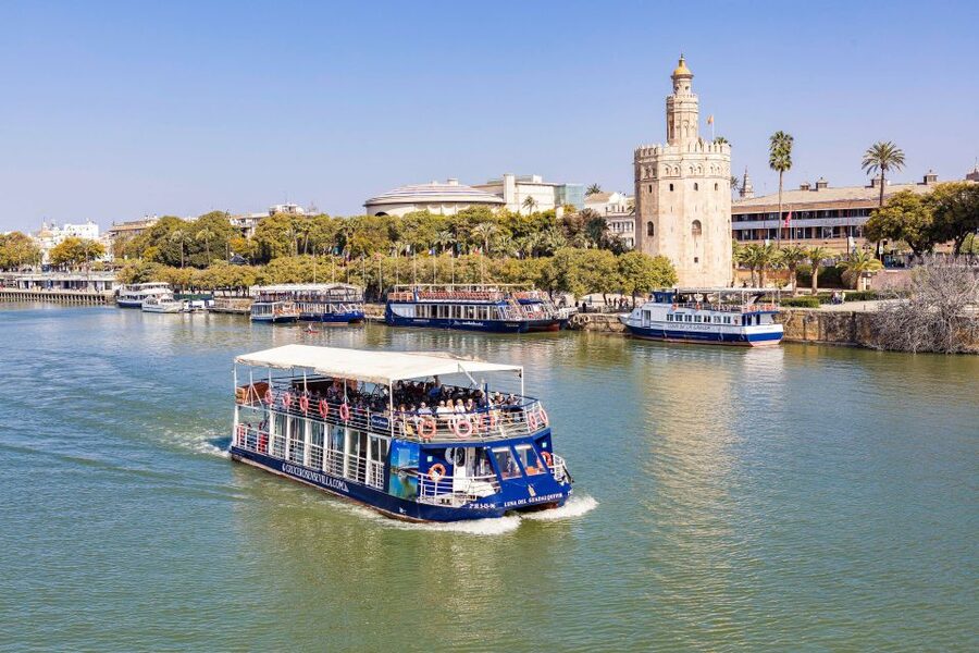 Sevilla: Hop-On Hop-Off & Walking Tours, Cruise & Flamenco - Who should book this Sevilla package?