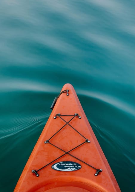 Seville: 1.5 hour Kayak Excursion - A gentle introduction for first-time kayakers
