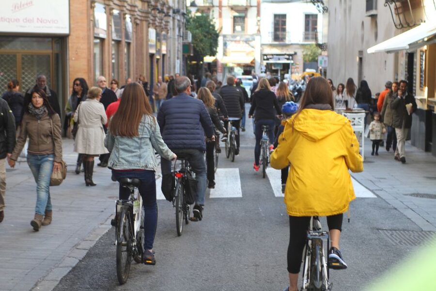 Seville: 1-Day Bike Rental - Why a Seville bike rental works so well