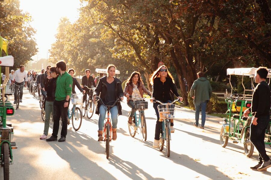 Seville: 1-Day Bike Rental - Riding comfort and bike condition