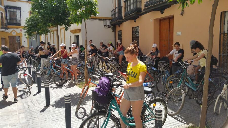 Seville: 1-Day Bike Rental - Timing, flexibility, and cancellation