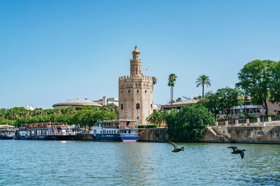 Seville: 1-Hour Guadalquivir River Sightseeing Eco Cruise - Old Towers and New Seville