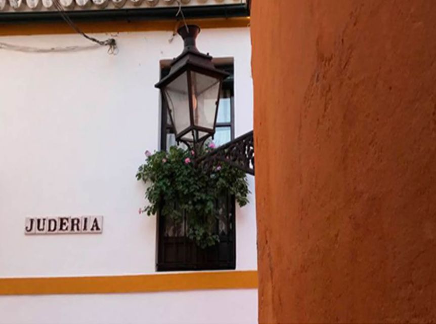 Seville: 1-Hour Walking Tour Barrio de Santa Cruz - Historic streets and contemporary Seville