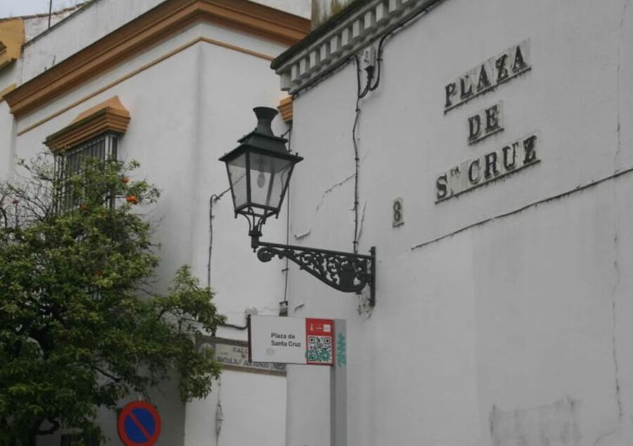 Seville: 1-Hour Walking Tour Barrio de Santa Cruz - Meeting the giant wooden mushrooms