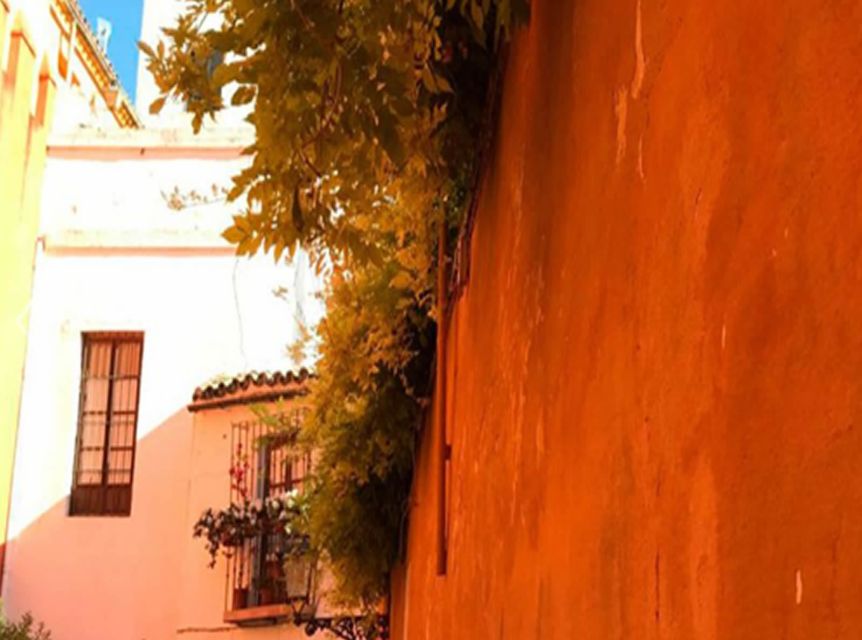 Seville: 1-Hour Walking Tour Barrio de Santa Cruz - What $18 buys you in one hour