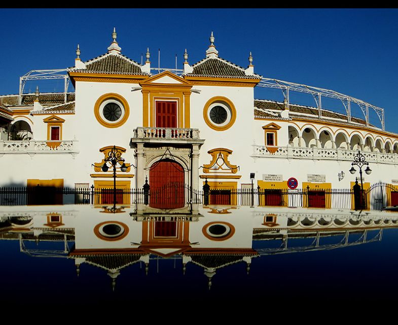 Seville 4-Hour Guided Walking Tour - A fast, useful introduction to Seville
