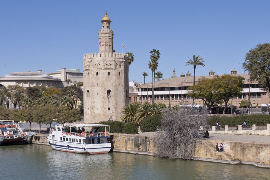 Seville 4-Hour Guided Walking Tour - Santa Cruz, Plaza de la Alianza, and Calle Agua