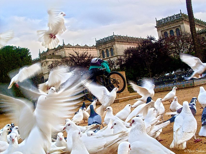 Seville 4-Hour Guided Walking Tour - Four hours, nearly 20 stops, and a brisk pace