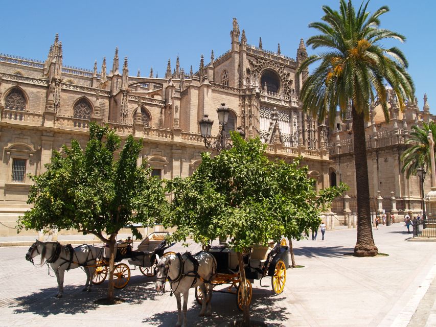 Seville: Alcázar Guided Palace Tour with Priority Access - Is the guided Alcázar visit worth booking?
