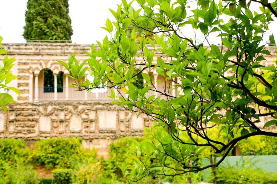 Seville: Alcazar Skip-the-Line Guided Tour with Tickets - Practical advice for a smooth visit