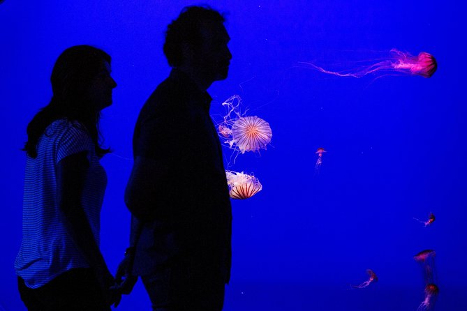 Seville Aquarium Admission Ticket - Five zones, five different moods