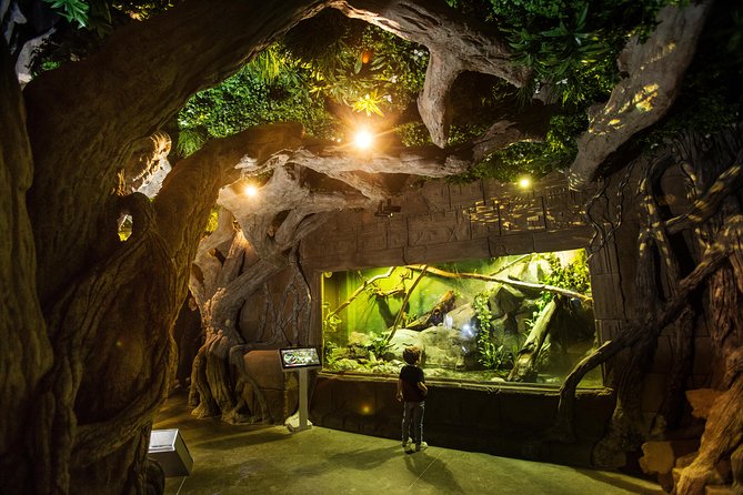 Seville Aquarium Admission Ticket - Meet the axolotl in the rainforest section