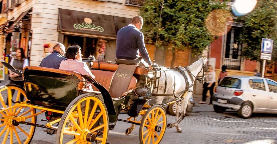 Seville: Authentic and Romantic Horse-Drawn Carriage Ride - A slow introduction to Seville by carriage