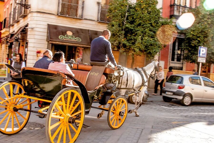 Seville: Authentic and Romantic Horse-Drawn Carriage Ride - The Hotel Alfonso XIII and Seville’s grand center