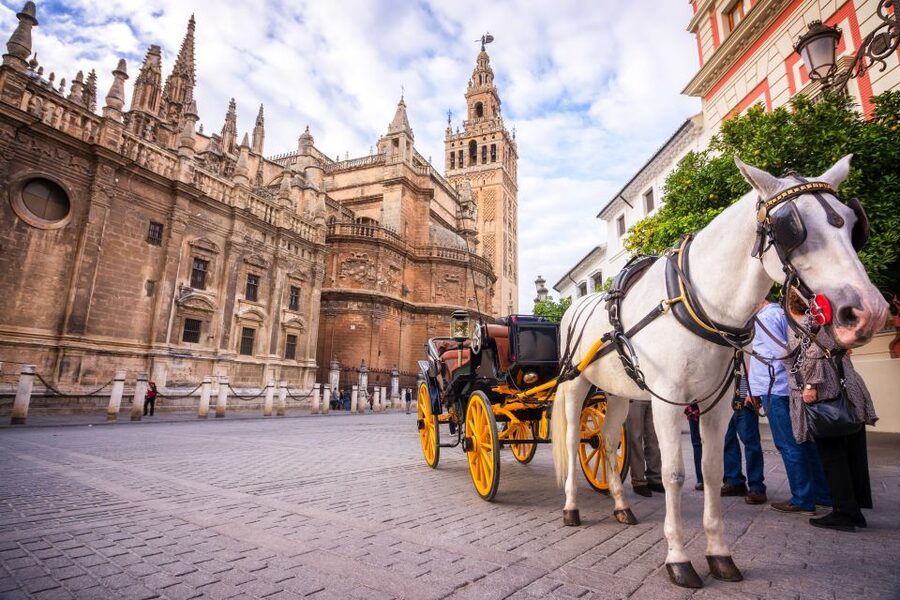 Seville: Authentic and Romantic Horse-Drawn Carriage Ride - What the driver adds to the experience