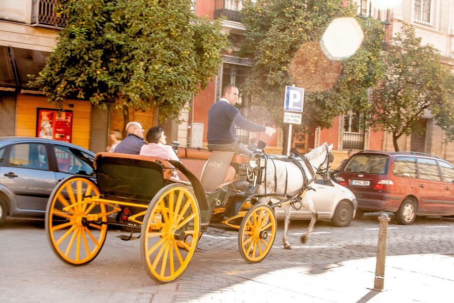 Seville: Authentic and Romantic Horse-Drawn Carriage Ride - My call: book it for the mood, not the checklist