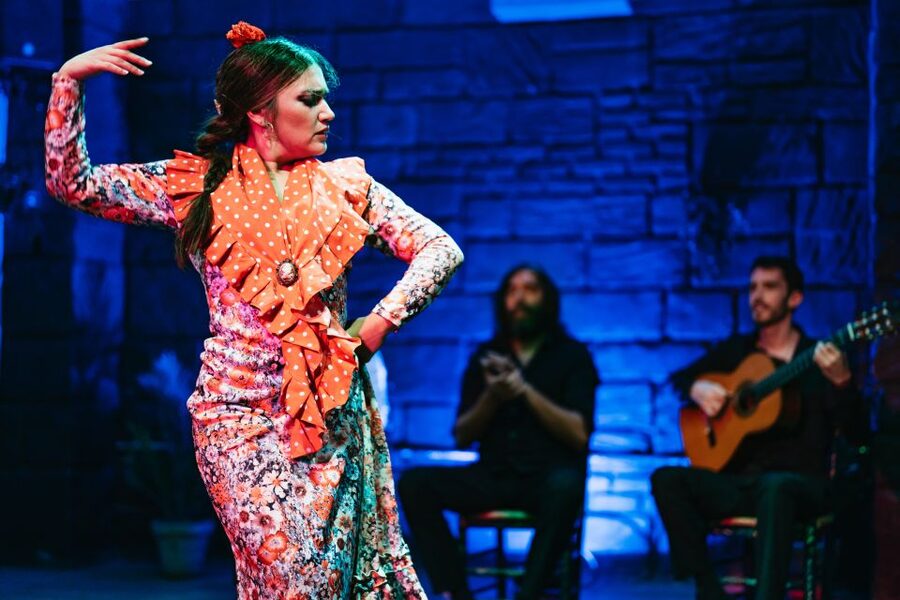 Seville: Baraka Sala Flamenca Show with Drink in Triana - What your included drink is worth