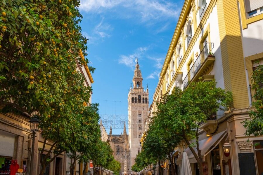 Seville: Barrio de Santa Cruz Small Group Walking Tour - The guide makes the difference